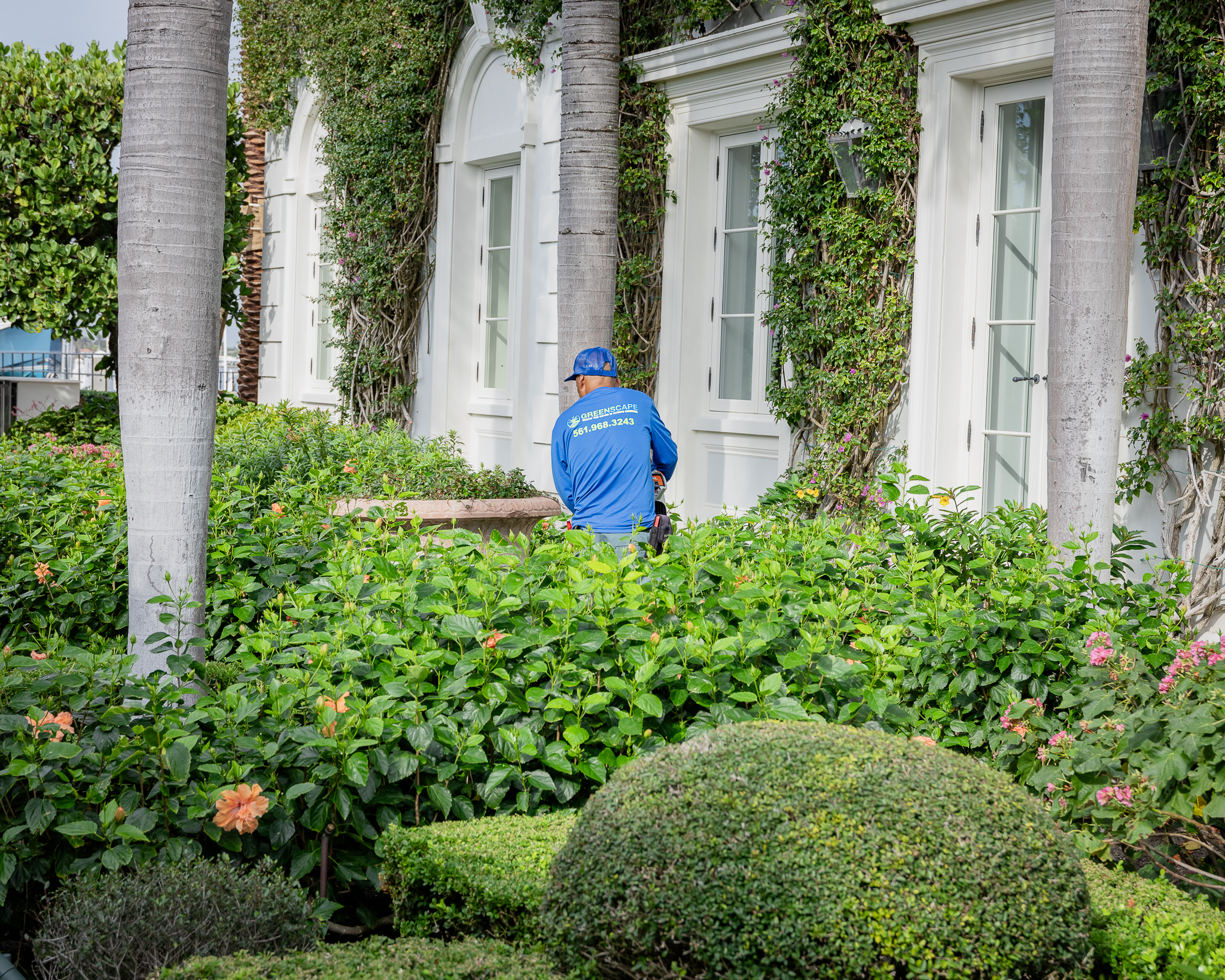 Greenscape Design Greenscape Design